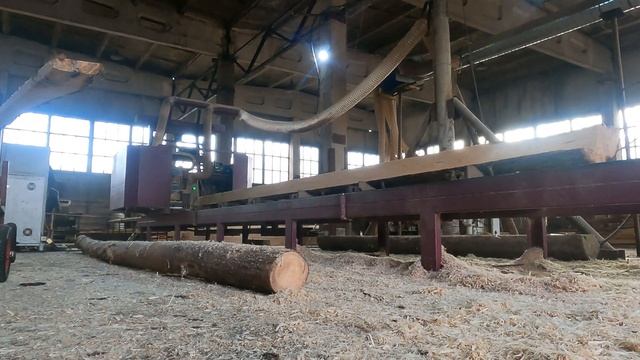 Распилили белкин дом или еще один день на пилораме. смотреть онлайн