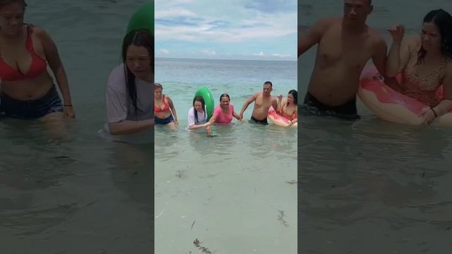 La union Blue Marlin Resort смотреть онлайн