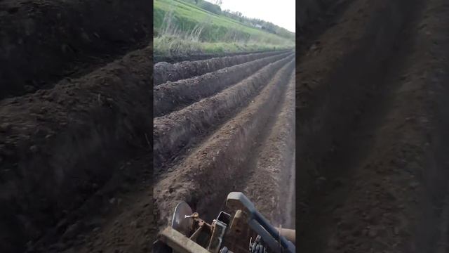 . НАРЕЗАЮ БОРОЗДЫ для картофеля смотреть онлайн