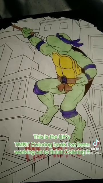 #teeangemutantninjaturtles #uk #books #tmnt #tmntcollector #leo #donnie #raph #mikey #tmntfan смотреть онлайн