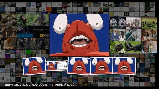 Шимпанзе впервые застали за поеданием пресноводных крабов смотреть онлайн