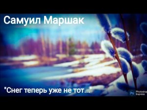 Самуил Маршак "Снег теперь уже не тот..." Школьная программа.