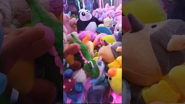 Выграли Дельгадо Дельфина! смотреть онлайн