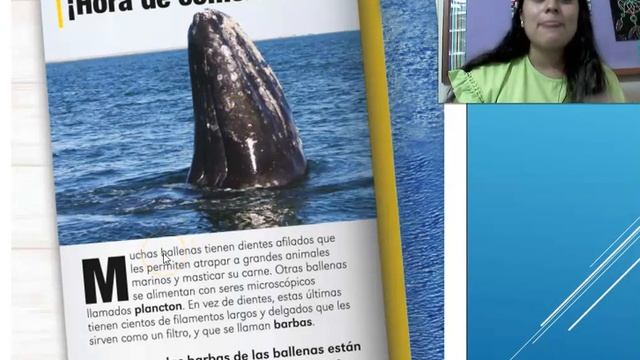 LEEMOS TEXTOS INFORMATIVOS : LA BALLENA смотреть онлайн