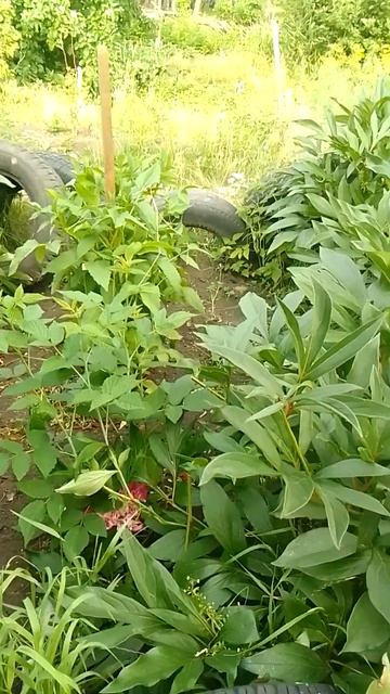 29 сентября 2022 г. смотреть онлайн