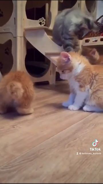 сладкие к😊л😊б😊чки смотреть онлайн