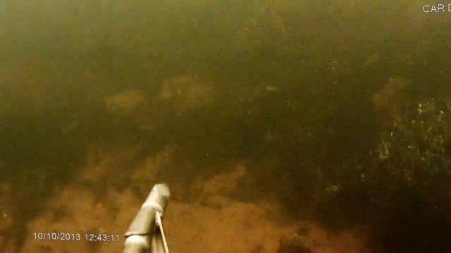подводная съемка на видеорег eplutus DVR 951 смотреть онлайн