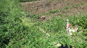 Чем стричь траву вдоль дорожек