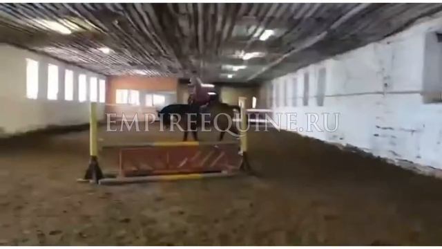 1396 смотреть онлайн