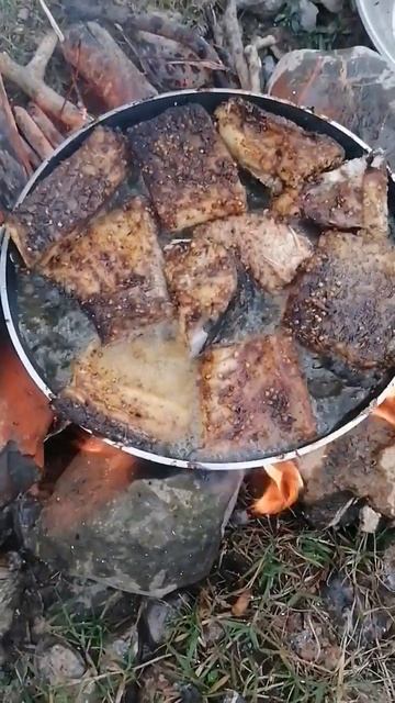 Food in Wild #food #desifood #beta #foodinwild #indianfood #foodlover #foodie #fishfry #fish смотреть онлайн