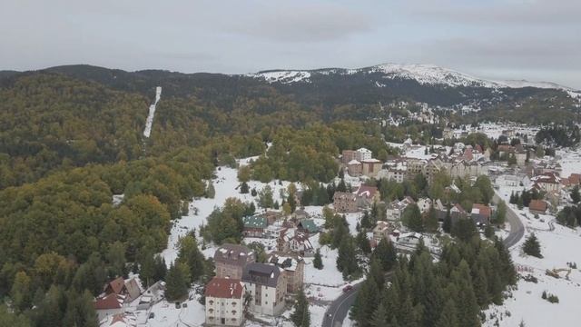 4K WINTER SEASON SCENIC FILM / CALMING CHRISTMAS MUSIC / NATURE FLORA & FAUNA смотреть онлайн