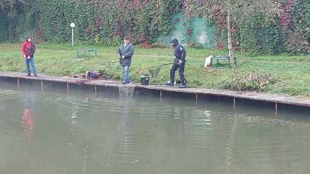 На белый магот до запуска смотреть онлайн