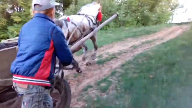 Кони бомба смотреть онлайн