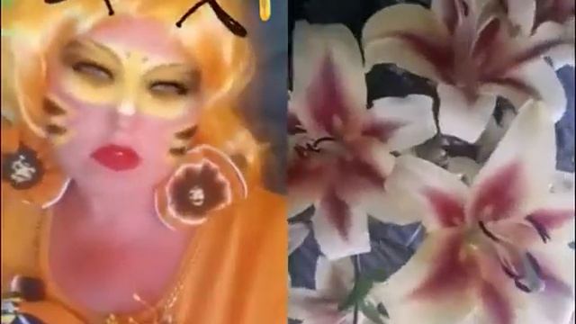 Пчела и цветы смотреть онлайн