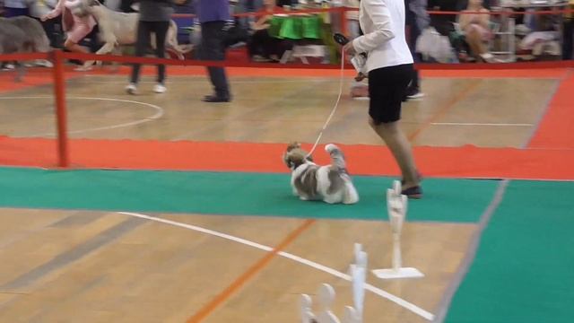 27 окт 19 смотреть онлайн