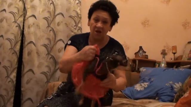 Наряжалки собаки в год собаки! смотреть онлайн