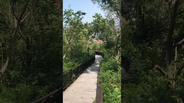 2 июля 2018 г.Лин Чен Лин Парк на О Хайнань июнь 2018 смотреть онлайн