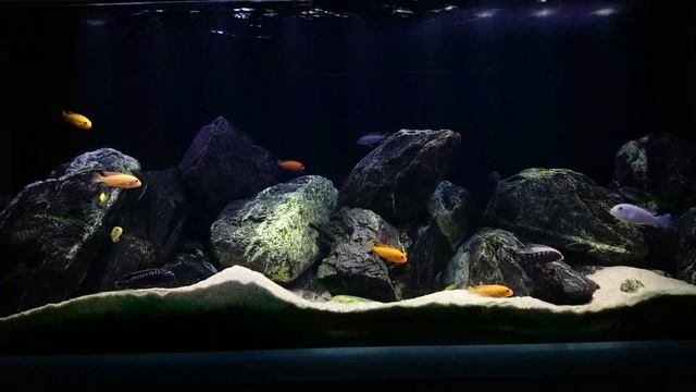 Malawi смотреть онлайн