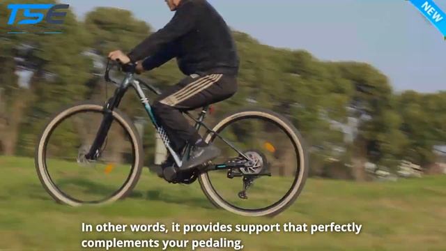 TSDZ8 All-New Torque Sensor eBike Kit - First Look 500W/750W MID-DRIVE SYSTEM : TSD2ZB смотреть онлайн