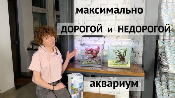 Аквариум для петушка или креветочник / Фильтр OASE FiltoSmart 60 / Светильник Chihiros WRGB 2