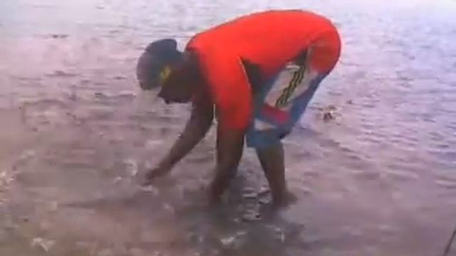 SIMA MUSIC 10 смотреть онлайн