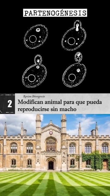 Lo más importante hoy. Partenogénesis, extraterrestres, y mucho más. смотреть онлайн