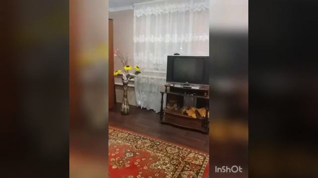 «Семейная пирамида», Надкирничные смотреть онлайн