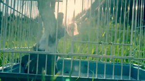 ПЕСНЯ ХРИСТИАНСКАЯ. СТОНЕТ ДУША… (исполняет Екатерина Усик на слова Анны Юркин)