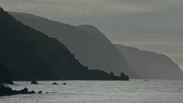 TUNA Tales EXPOSED What's Really Better for Our Planet? смотреть онлайн