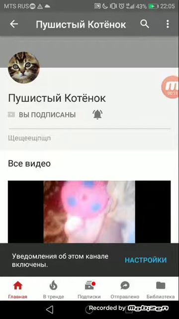 Подпишись на канал Пушистый Котёнок смотреть онлайн