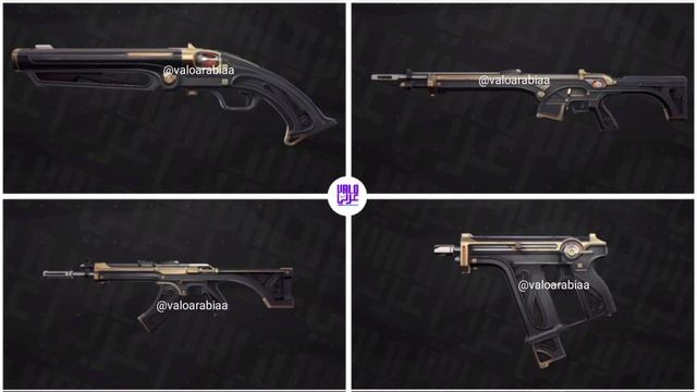 Valorant *NEW* Battlepass Skins Leak