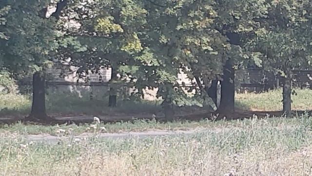 Зачем так бухать? смотреть онлайн