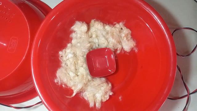 How to make a mini Egg Incubator at home || Hatched-Result || смотреть онлайн