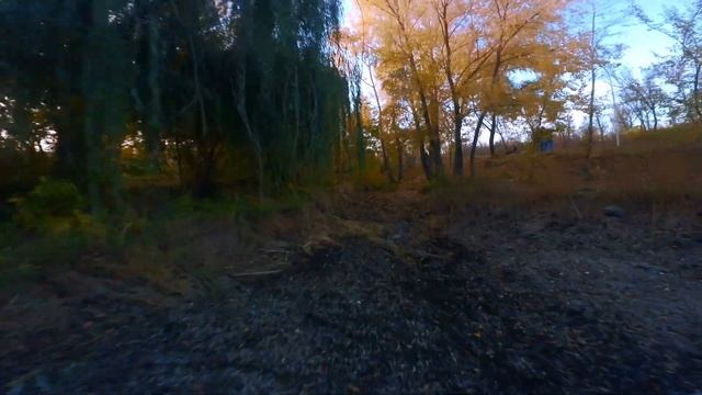 sphagnum смотреть онлайн