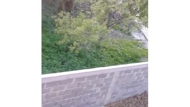 Коттедж  в Черешни