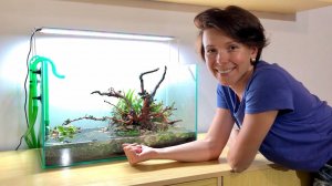 Запуск аквариума / Камни с речки / Посадка растений / Оформление аквариума