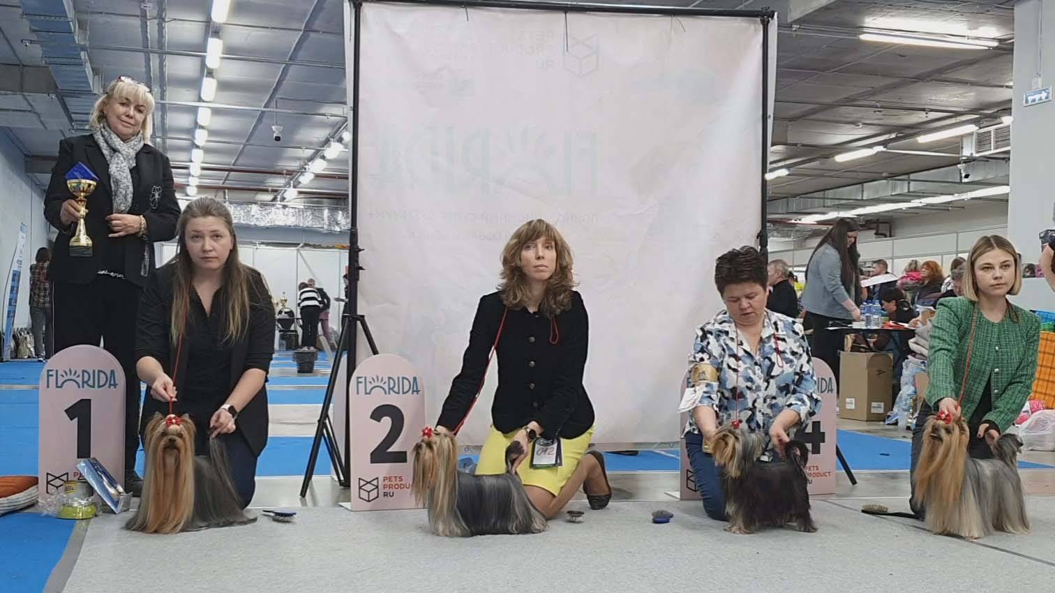 13.04.2025, СПб. Клуб "Бэст-Клуб". Моно ЙОРКШИРСКИЙ ТЕРЬЕР смотреть онлайн