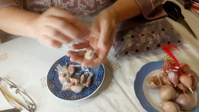 Озимые сорта чеснока и лука из интернет магазина. Распаковка посылки. смотреть онлайн