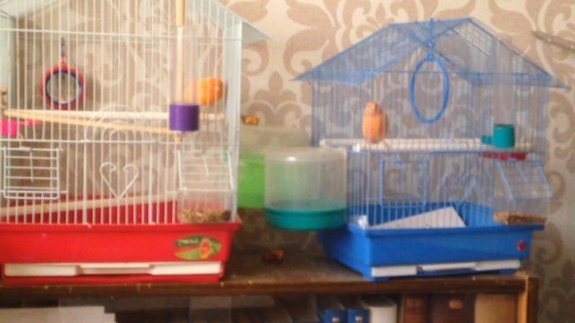 IMG 1296 смотреть онлайн