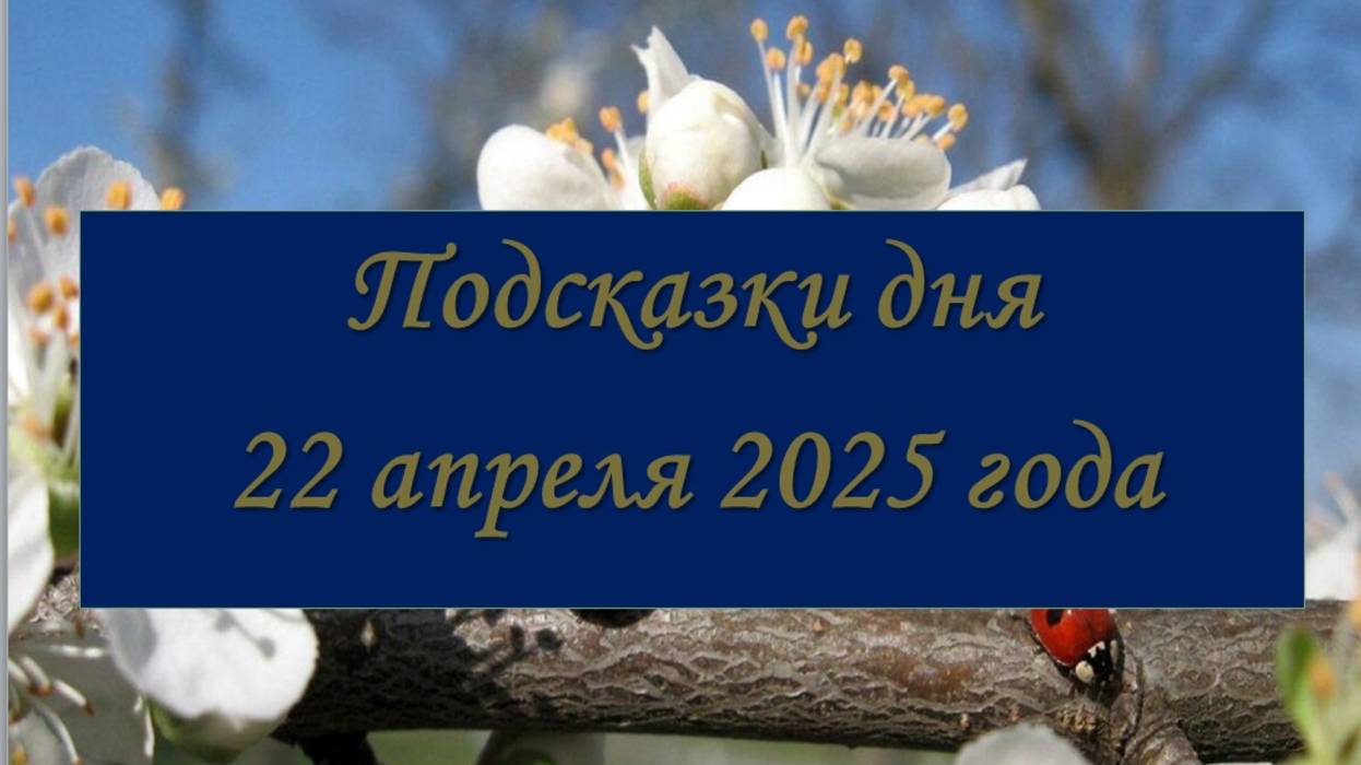 Гороскоп на 22 апреля 2025 года (общий, по показателям дня)