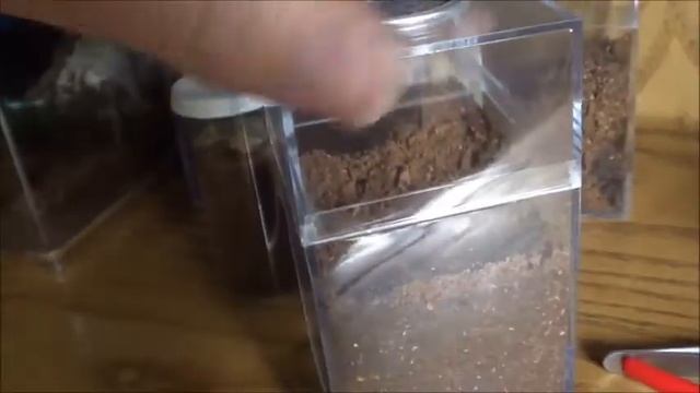 Tarantula Update 2 смотреть онлайн