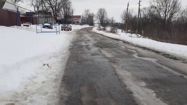 хищник в засаде,охота на курей смотреть онлайн