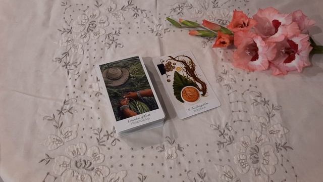 карта дня 24.07.24 смотреть онлайн