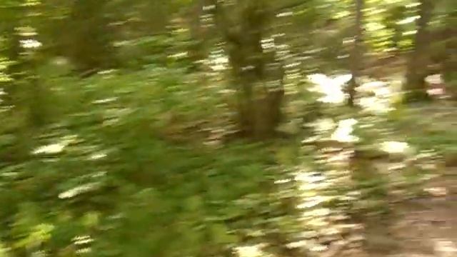 ...в лесу ворота... смотреть онлайн