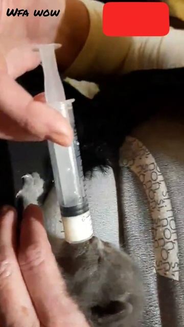 пьете да? 🤣 ржака смотреть онлайн