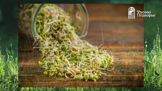 Русово Подворье