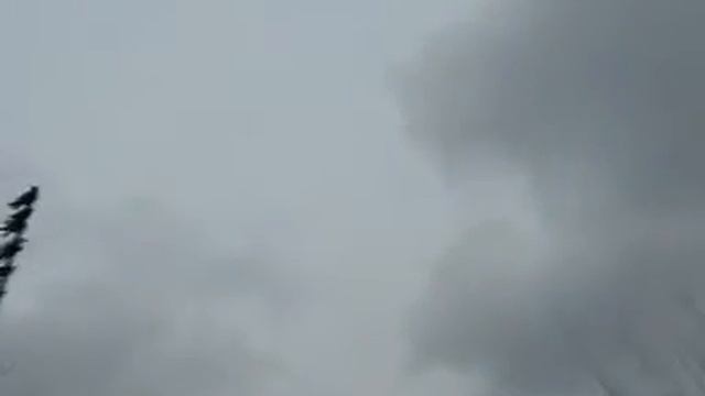ВИДЕО АВИ смотреть онлайн