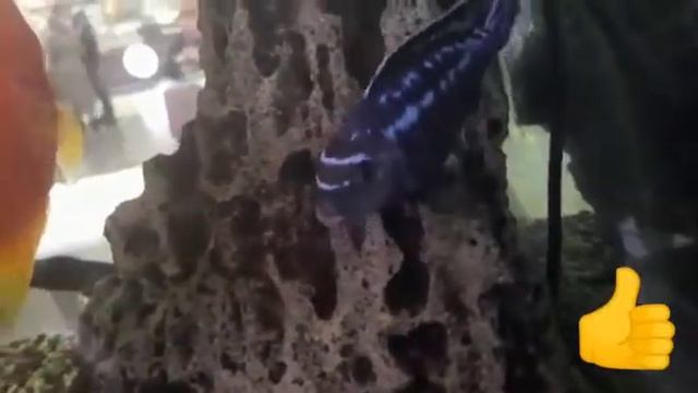 30 марта 2022 г. смотреть онлайн