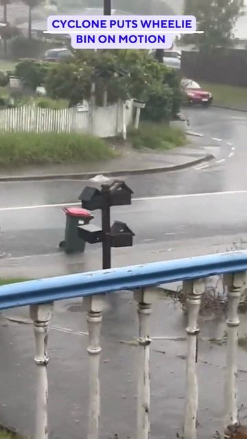 CYCLONE PUTS wheelie Bin ON MOTION смотреть онлайн
