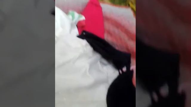 Покупки одежды смотреть онлайн